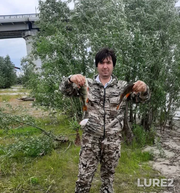 Окунь — Иртыш, 01 июл. 2019 г.