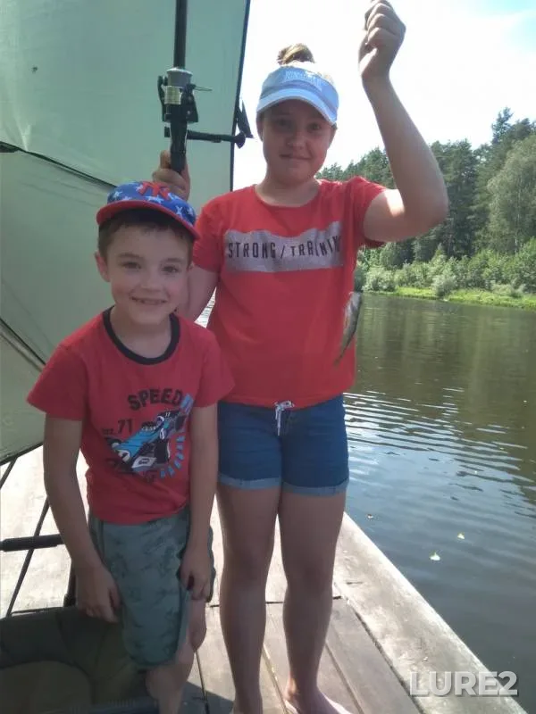 Линь — Гродненская область, Гродненский район, 13 июн. 2019 г.