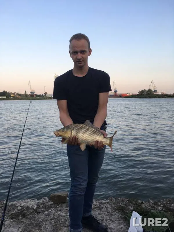Карп — Дон, 07 авг. 2019 г.