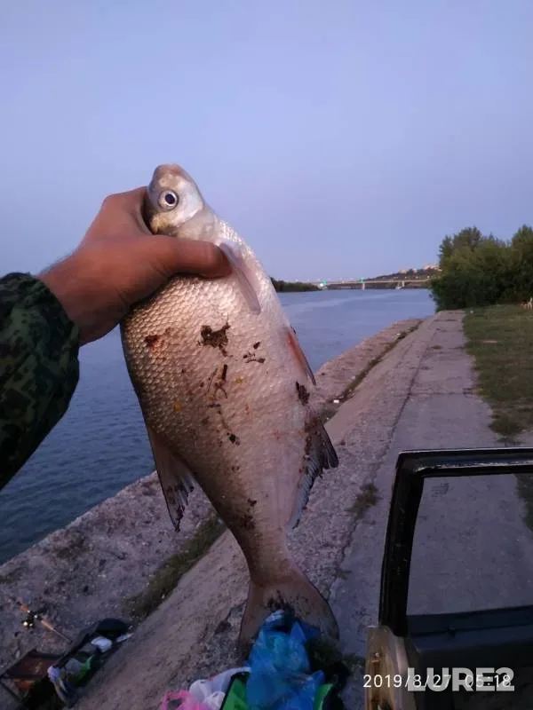 Лещ — Дон, 27 авг. 2019 г.
