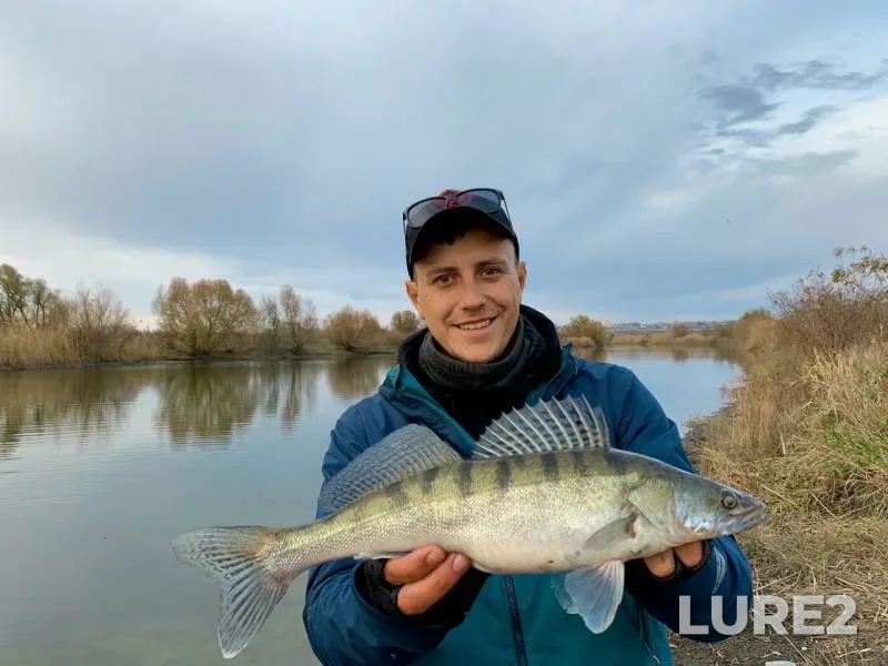 Окунь — Ростовская область, 05 нояб. 2019 г.
