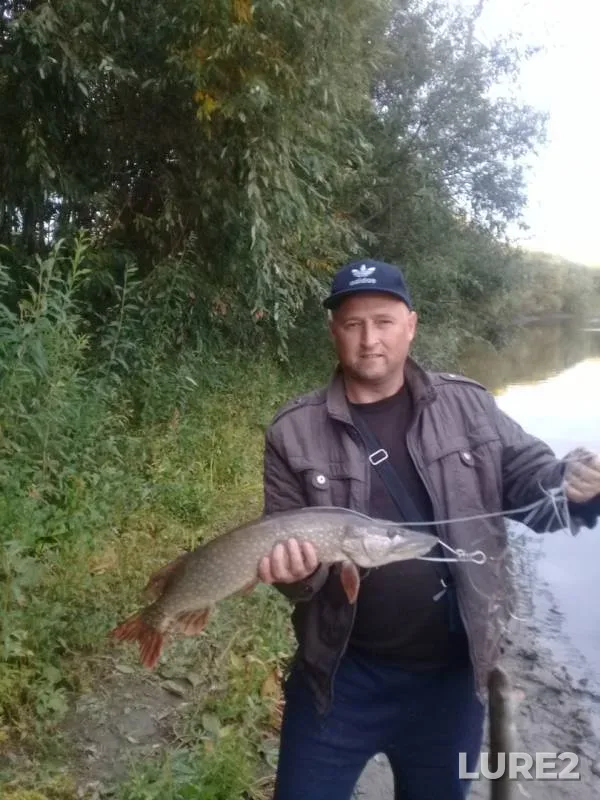 Щука — Пышма, 12 сент. 2019 г.