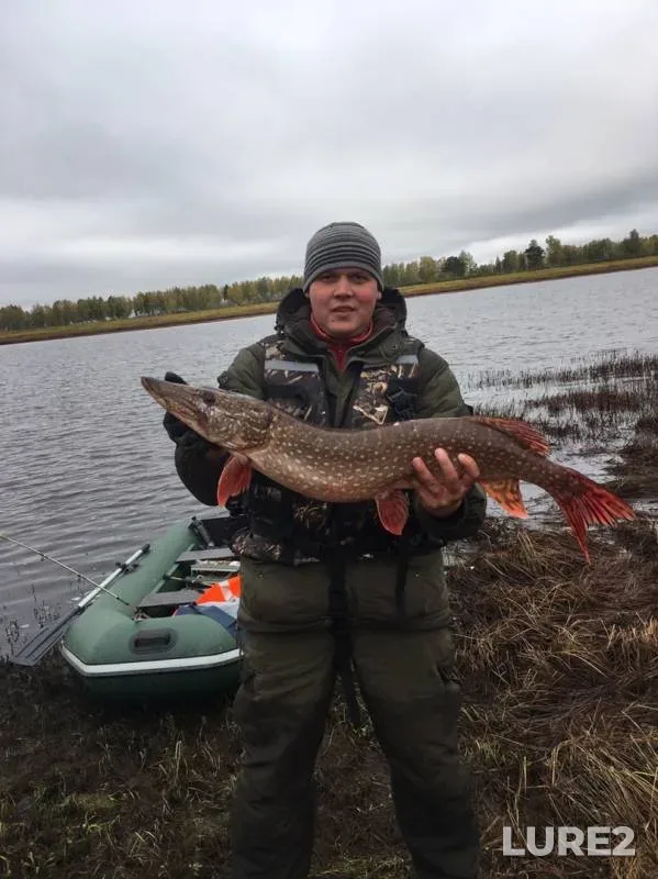 Щука — Ершово, 27 сент. 2019 г.
