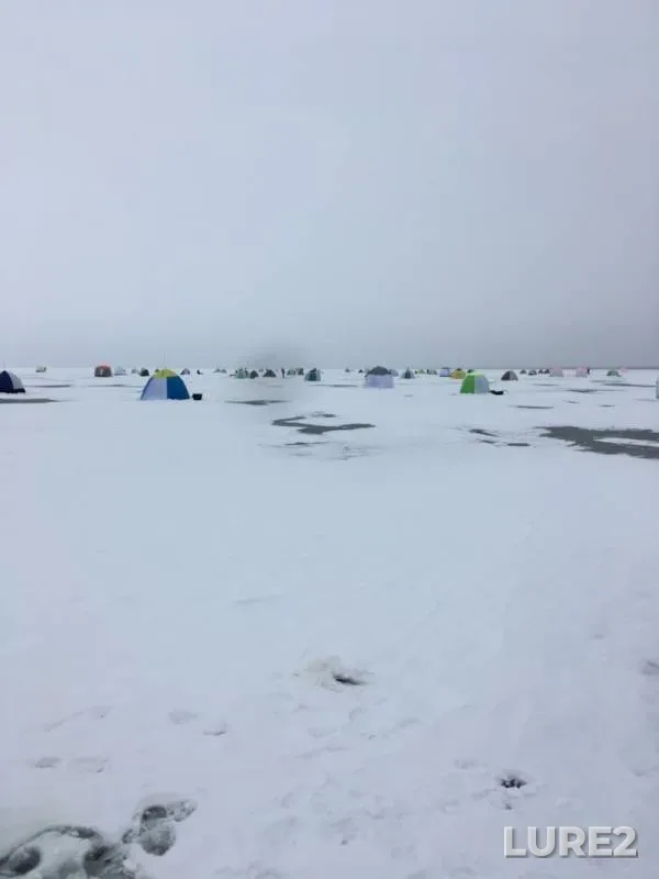 Карась