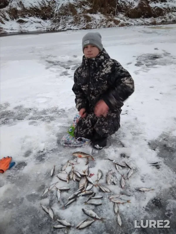 Щука, Плотва — Прорва, 17 нояб. 2019 г.