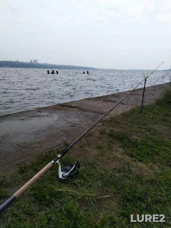 Лещ — Воронежское, 27 июл. 2019 г.