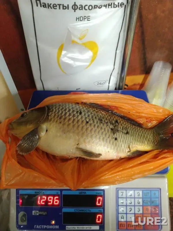 Карп — Воронежское, 04 авг. 2019 г.