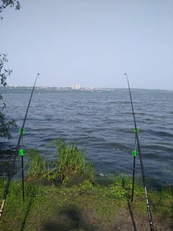 Лещ, Карась