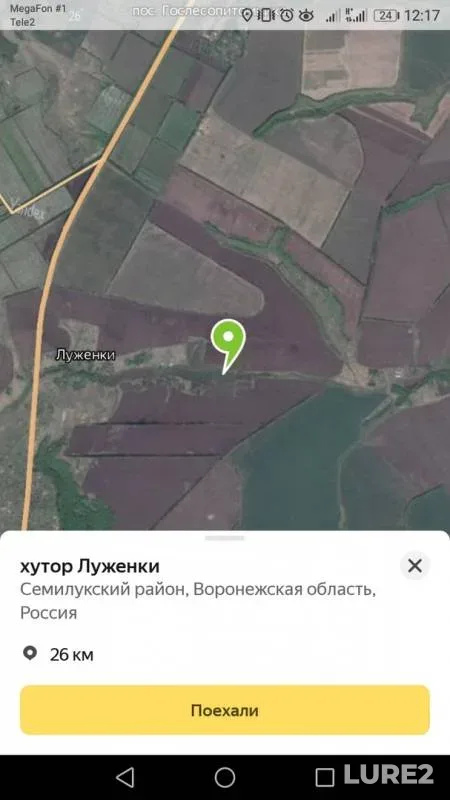 Карп, Карась