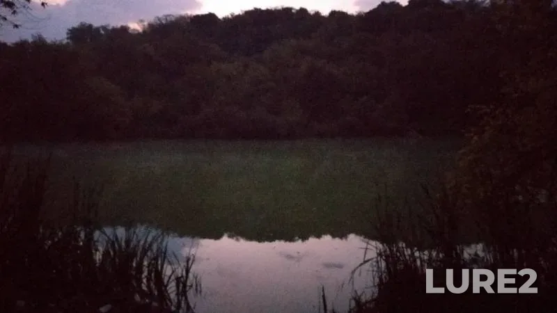 Карась