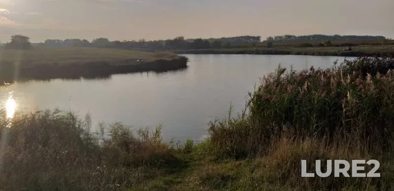 Карп, Карась — Воронежская область, 03 сент. 2019 г.