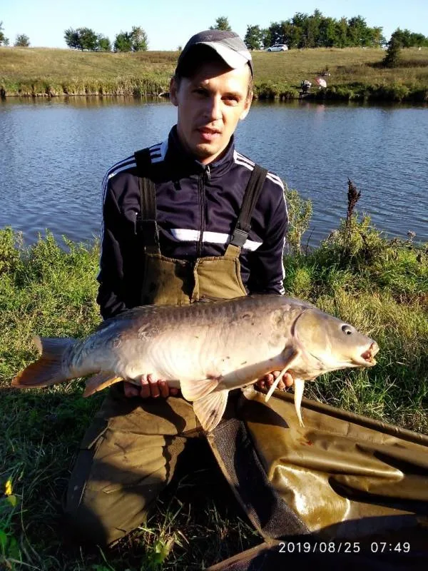 Карп