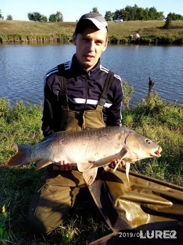 Карп