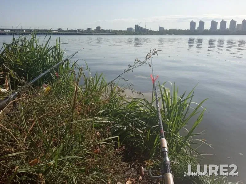 Плотва, Линь — Воронежское, 15 сент. 2019 г.