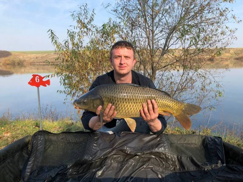 Карп