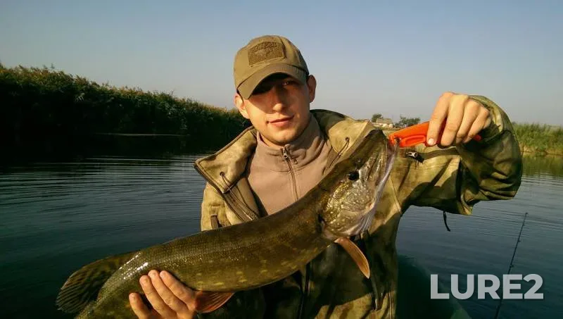 Щука — Дніпропетровська область, 07 сент. 2017 г.