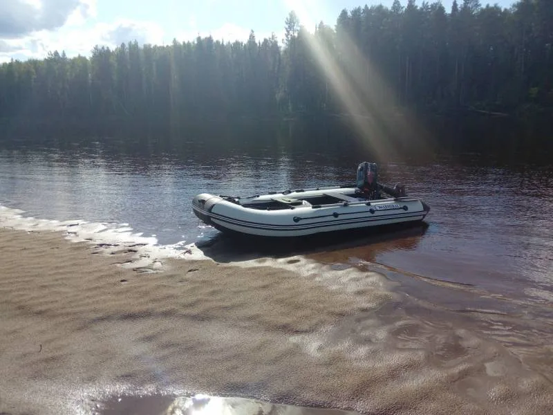 Окунь, Щука