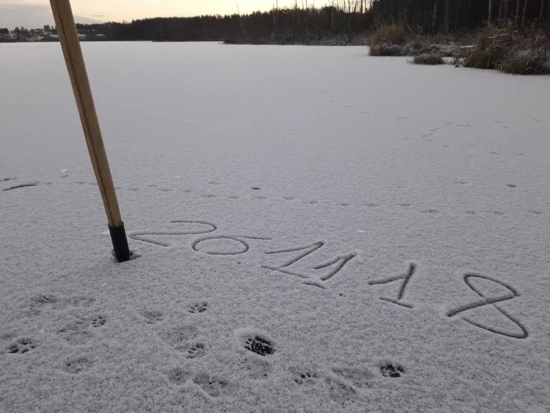 Окунь