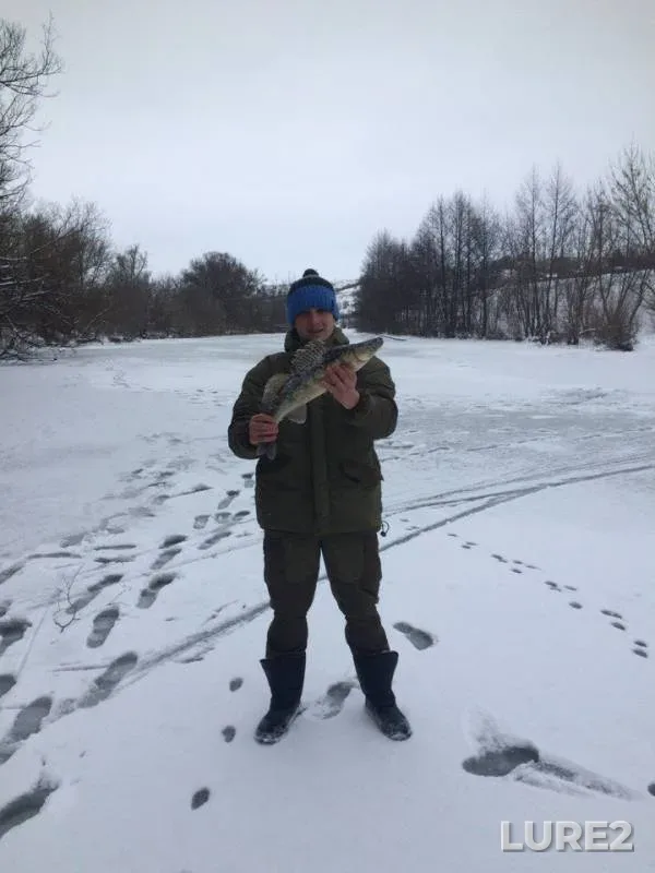 Судак — Быстрая Сосна, 28 янв. 2018 г.