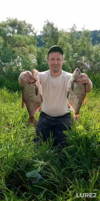 Лещ