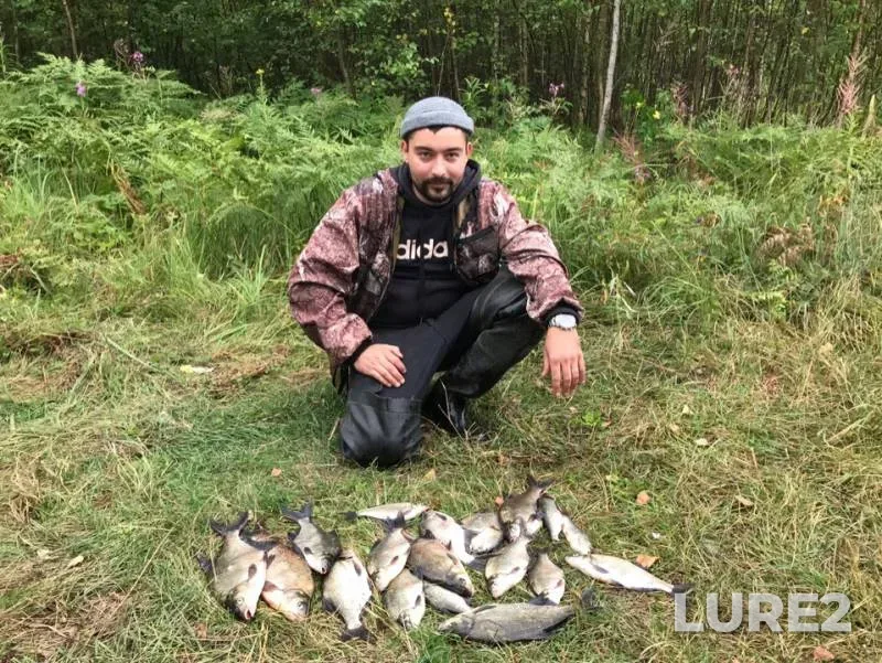 Лещ — Луга, 04 авг. 2019 г.
