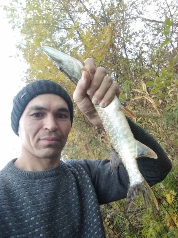 Щука