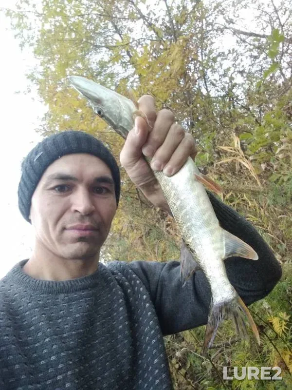 Щука — Белая, 03 окт. 2019 г.