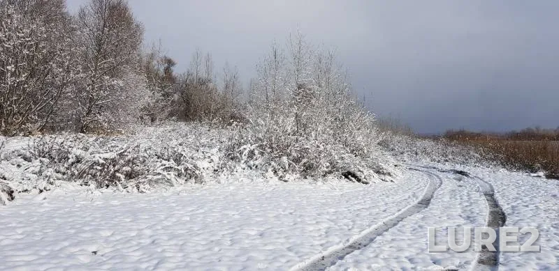Щука, Судак — Белая, 01 нояб. 2019 г.