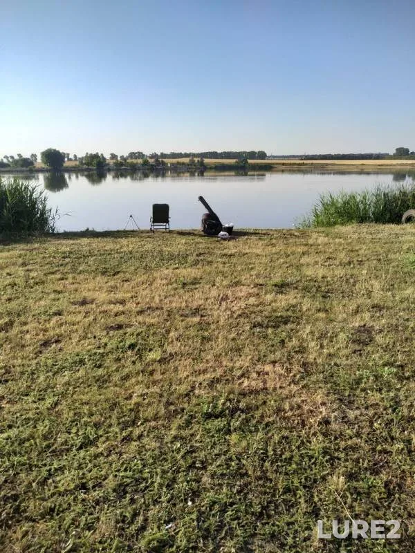 Карп, Карась — Ставропольский край, 8 июл. 2019 г.