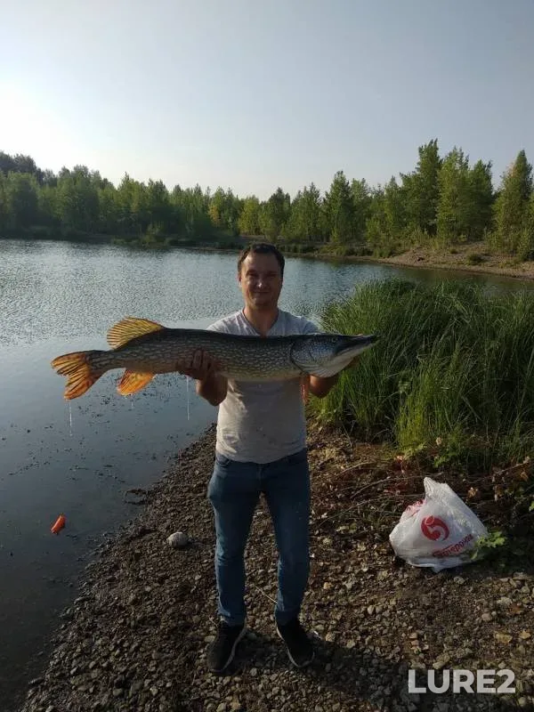 Щука — Самарская область, 18 сент. 2019 г.