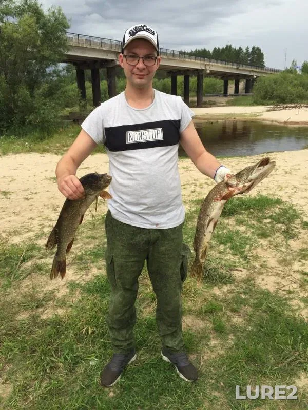 Щука