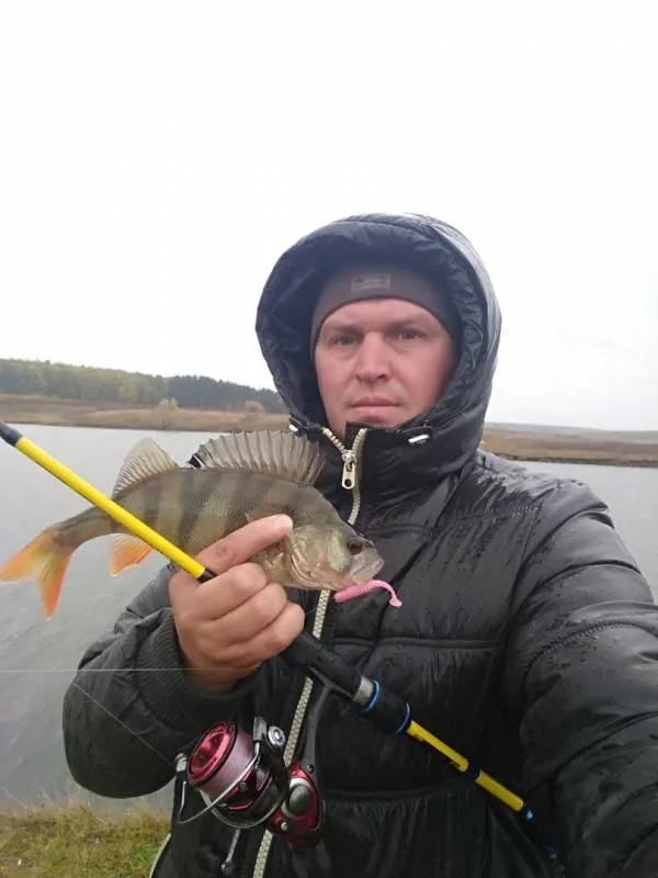Окунь
