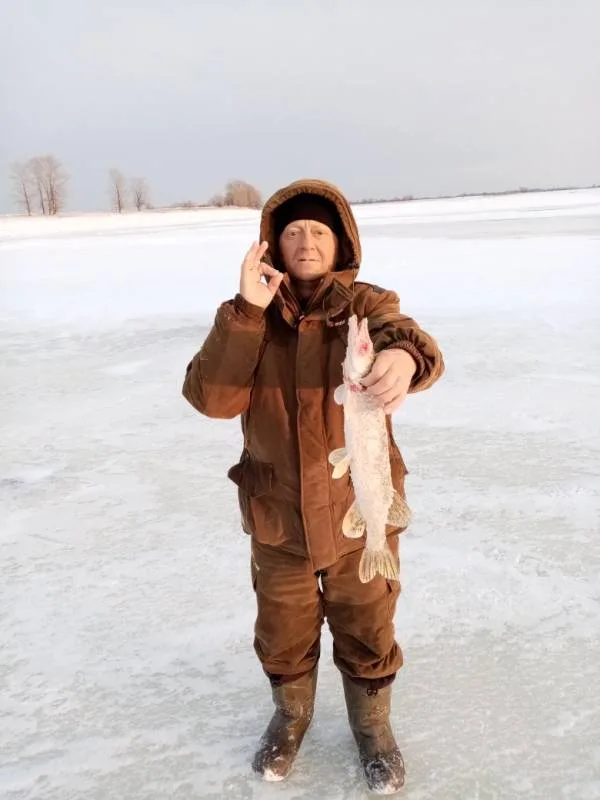 Щука