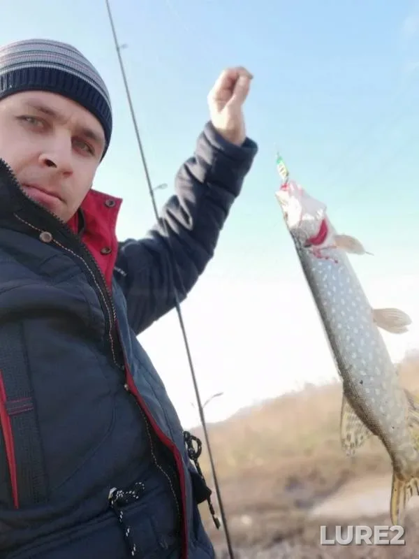 Щука — Дядьковский затон, 12 окт. 2019 г.