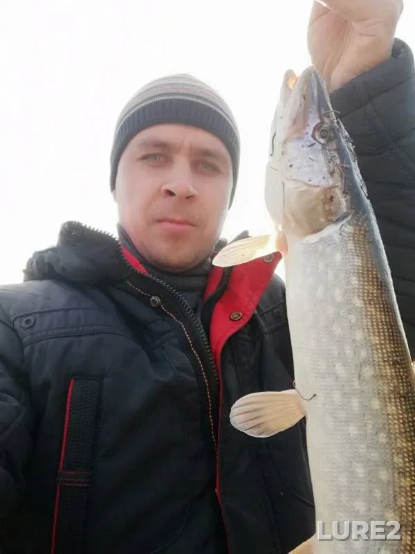 Щука — Дядьковский затон, 12 окт. 2019 г.