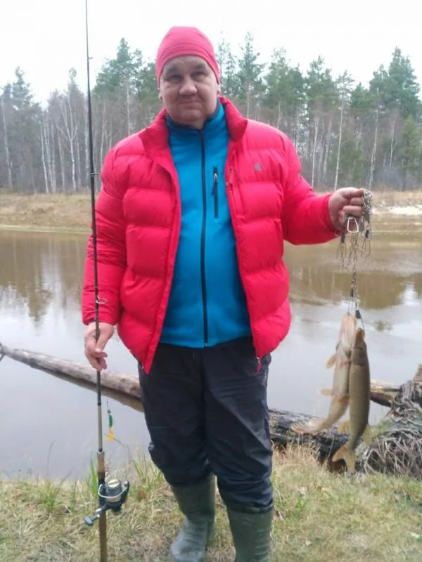 Щука