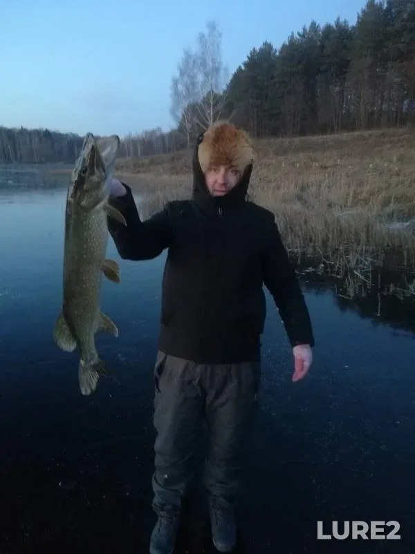 Щука