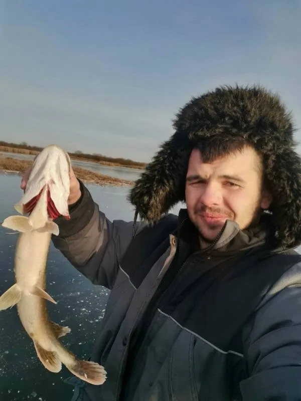 Окунь, Щука