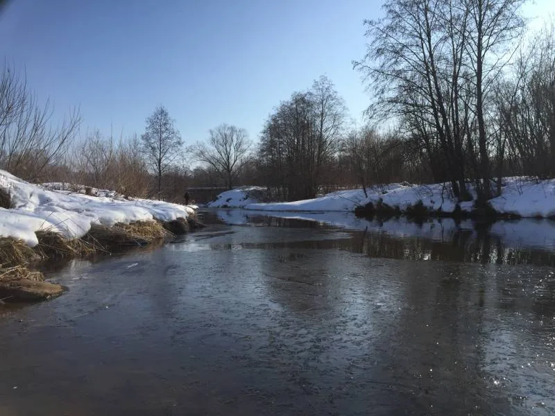 Окунь