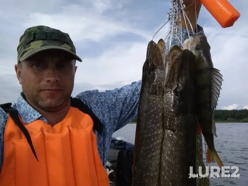 Окунь, Щука — Кама, 29 июл. 2019 г.