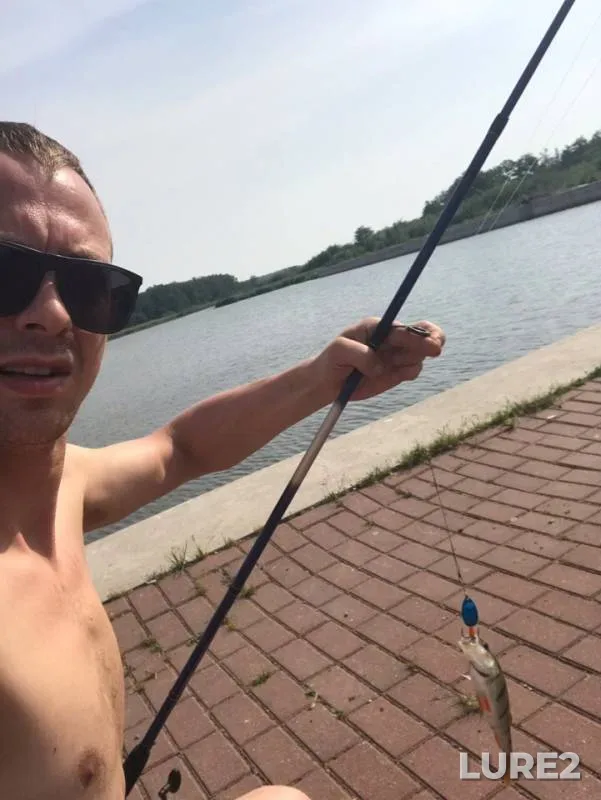 Окунь