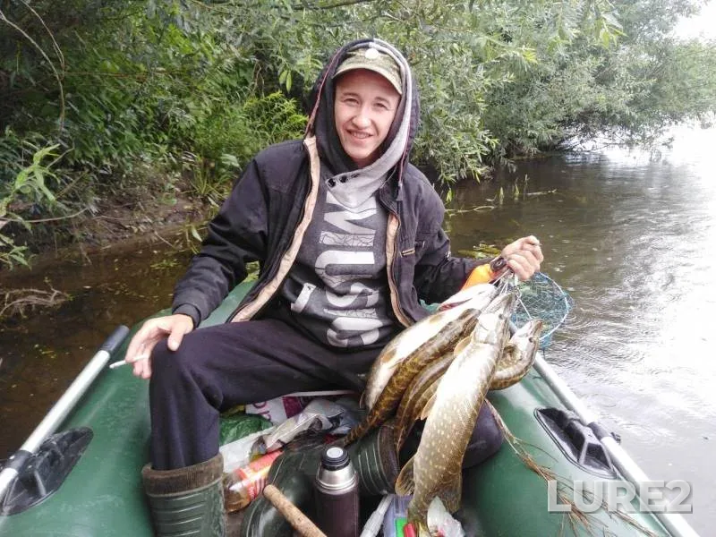 Щука