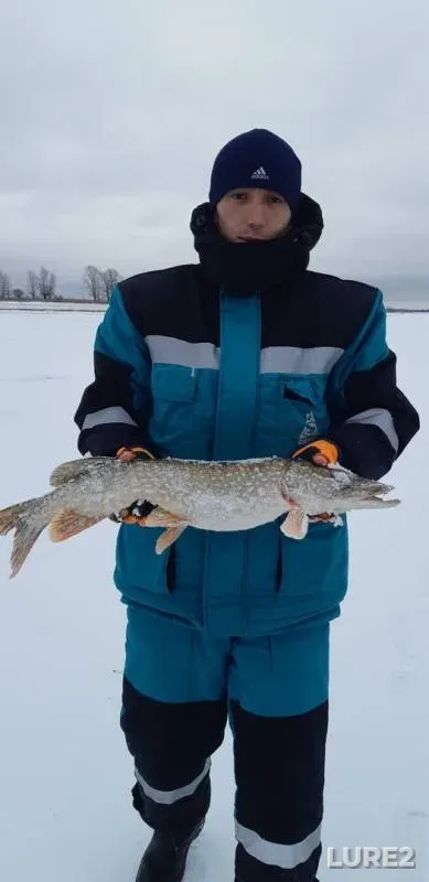 Окунь, Щука — Саускановское, 17 нояб. 2019 г.