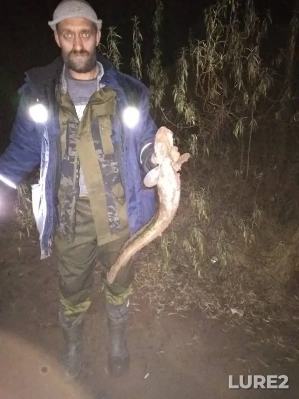 Налим — Кама, 24 окт. 2019 г.