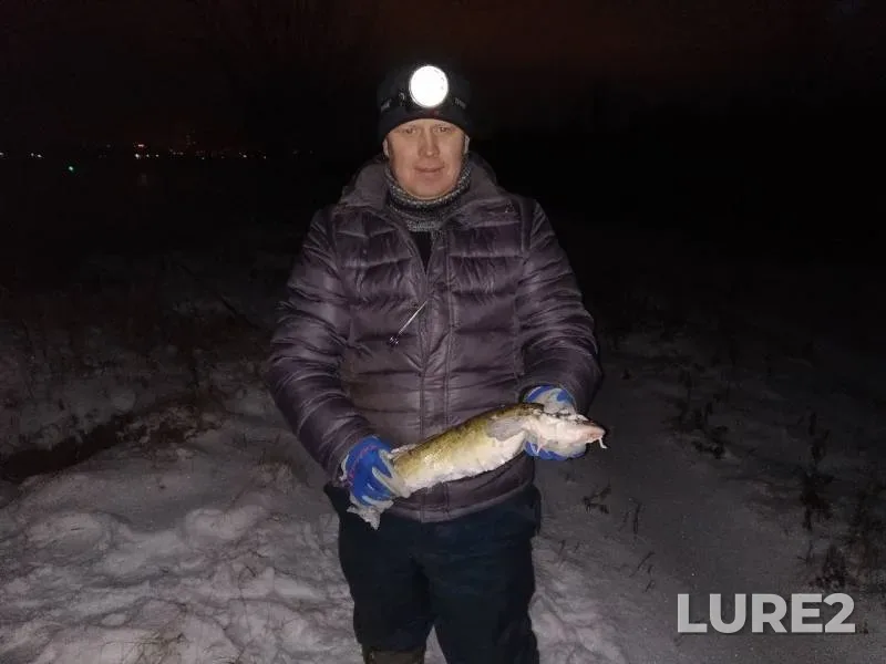 Налим — Кама, 03 нояб. 2019 г.