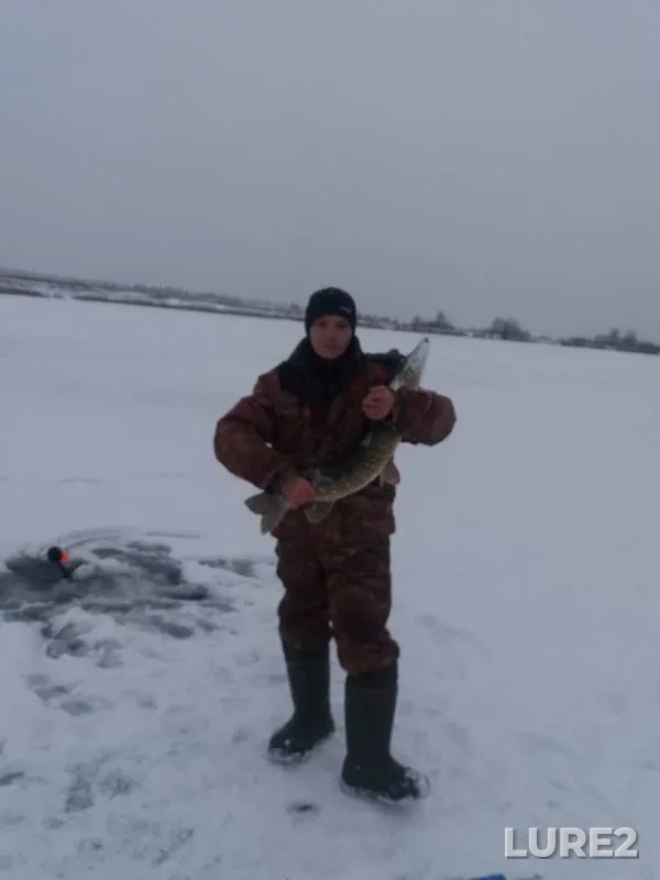 Щука — Рыж, 04 нояб. 2019 г.