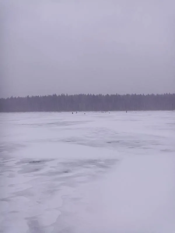 Окунь, Щука