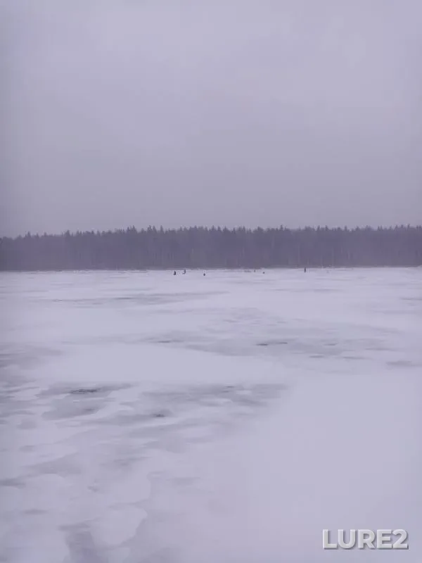 Окунь, Щука — Тюсевское, 04 нояб. 2019 г.