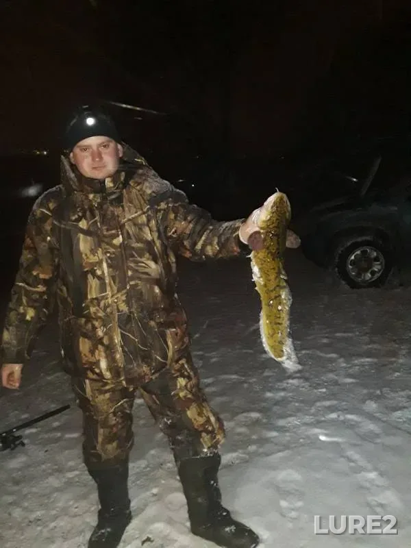 Налим — Кама, 13 нояб. 2019 г.
