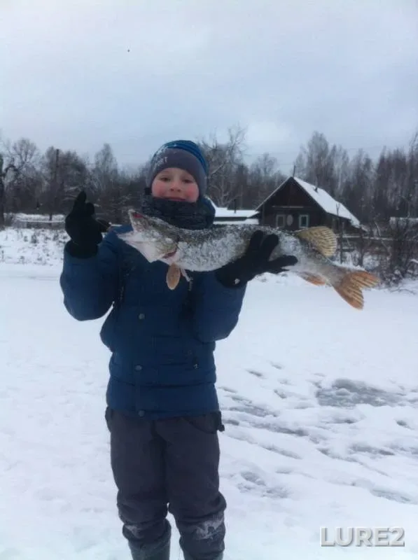 Щука — Зарич, 24 нояб. 2019 г.